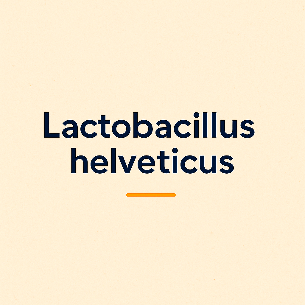 Lactobacillus helveticus – vielseitige Unterstützung für Darm, Immunsystem und Herz-Kreislauf