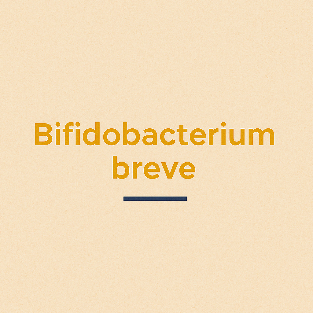 Bifidobacterium breve – sanfte Hilfe für Darm, Haut & Immunsystem