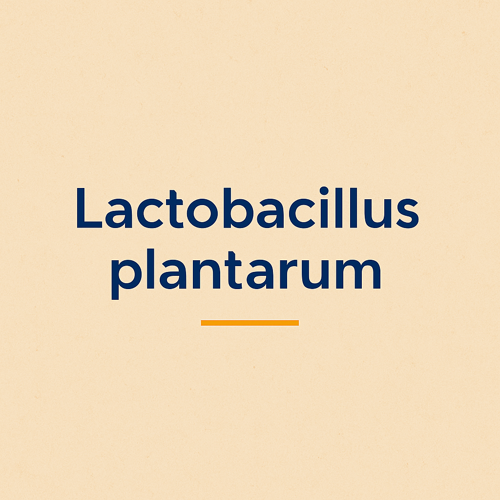 Lactobacillus plantarum: Vorteile für Darm, Haut und Immunsystem