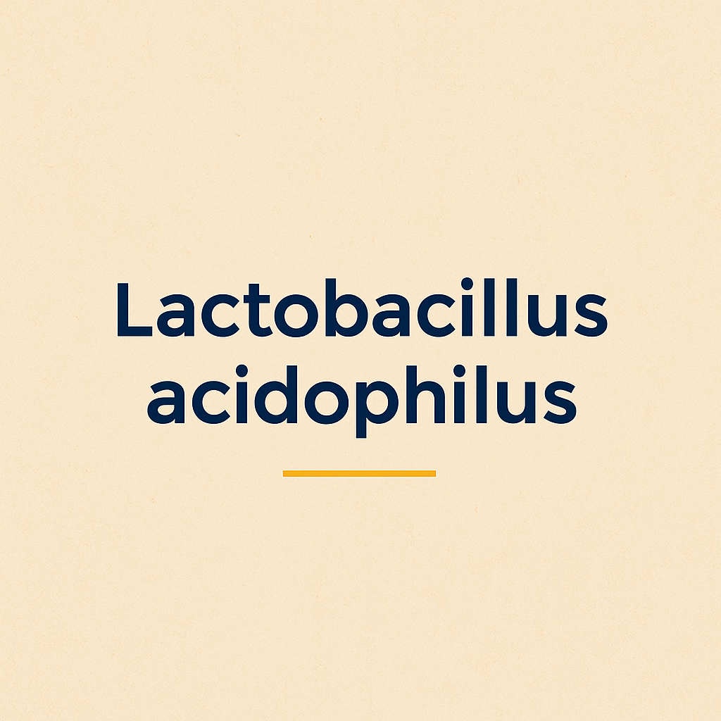 Lactobacillus acidophilus: Klassiker unter den Probiotika mit breitem Wirkungsspektrum
