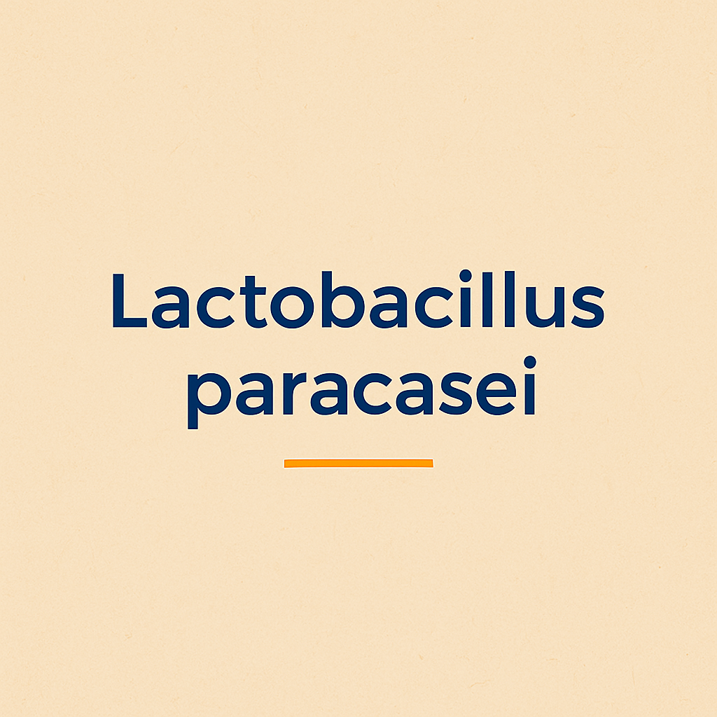 Lactobacillus paracasei: Schutz für Immunsystem, Haut und Darmbarriere