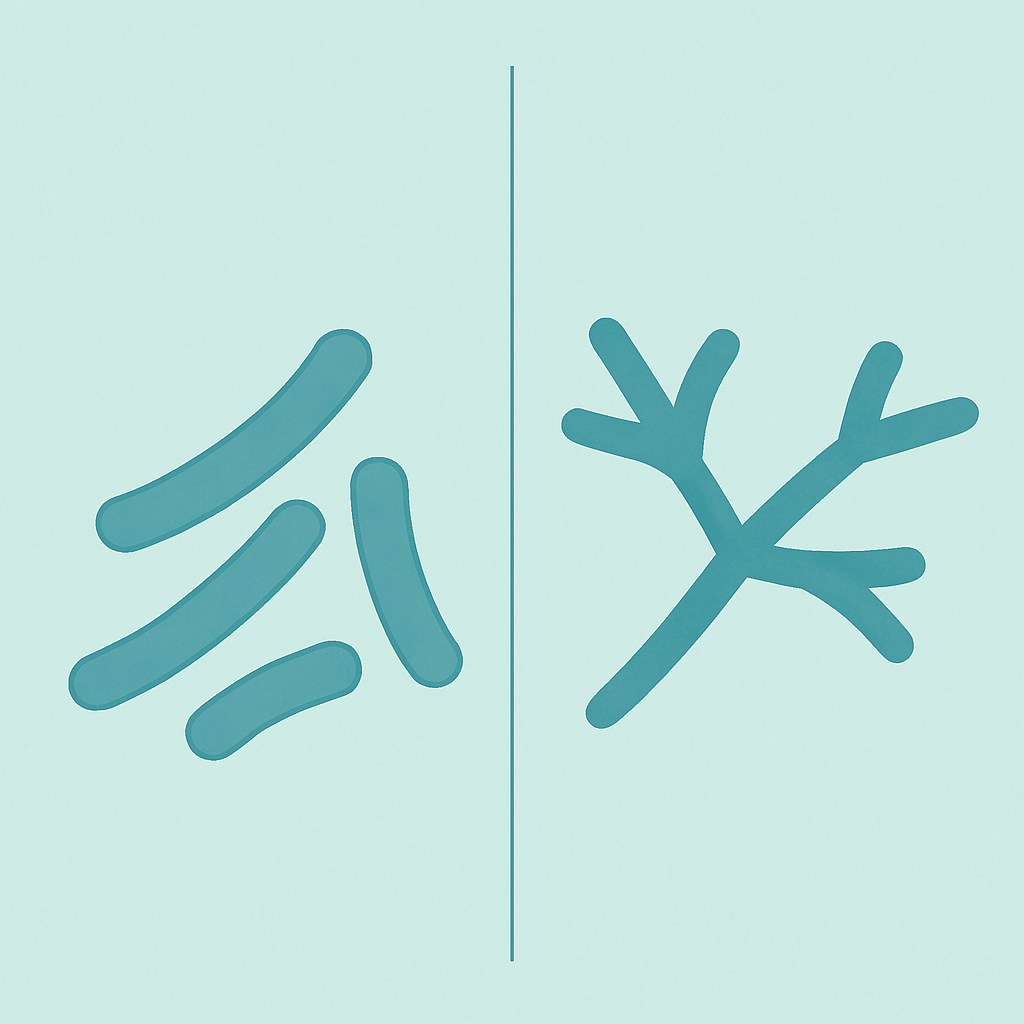 Laktobazillen und Bifidobakterien – Gemeinsam stark im Darm