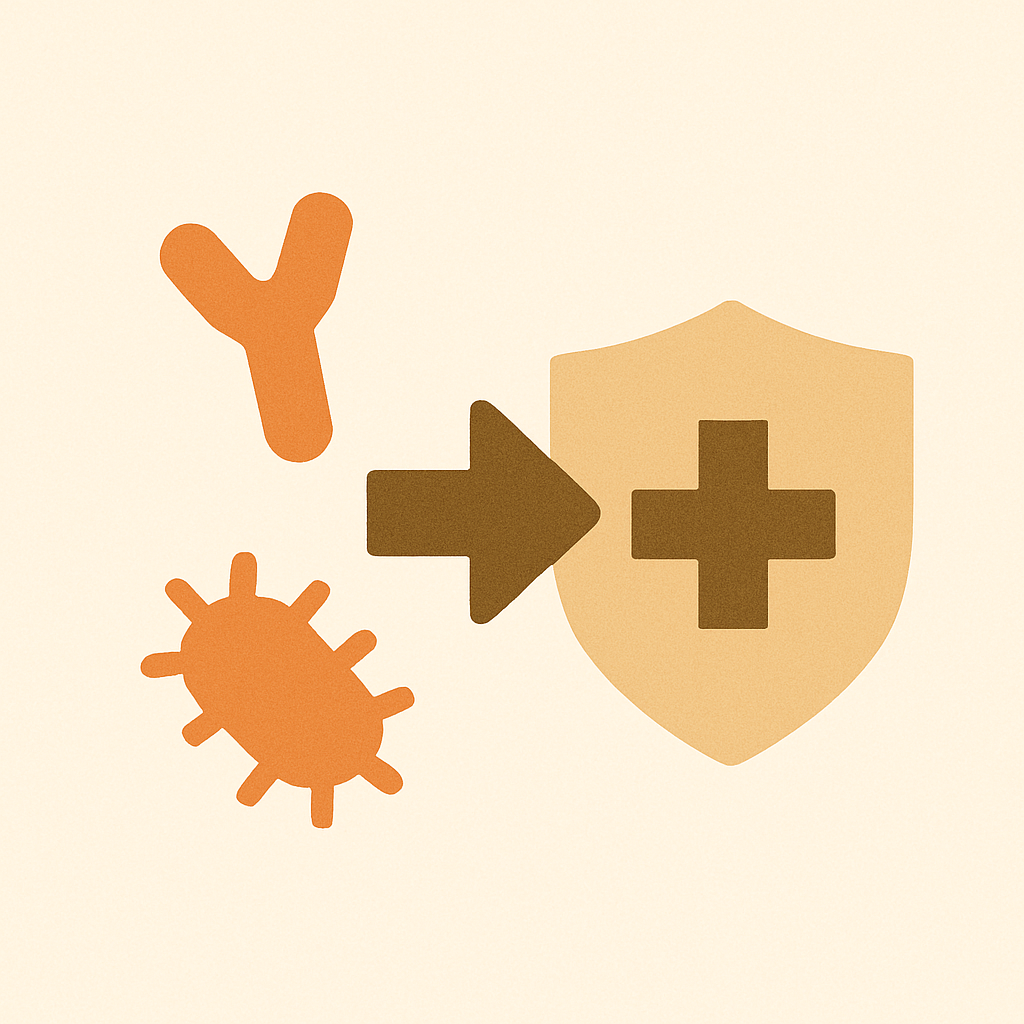 Bifidobakterien und ihr Einfluss auf das Immunsystem