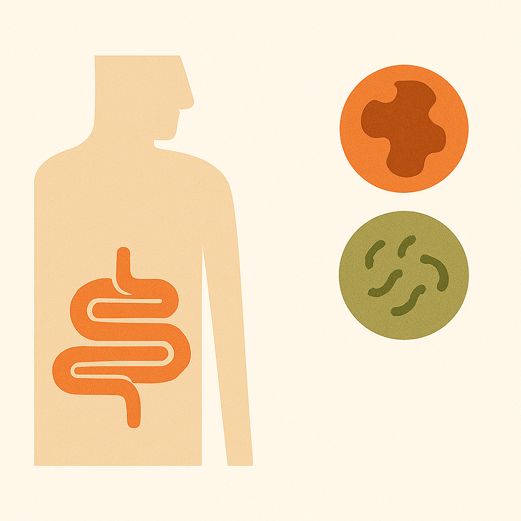 Morbus Crohn & Colitis ulcerosa: Chronisch-entzündliche Darmerkrankungen erklärt