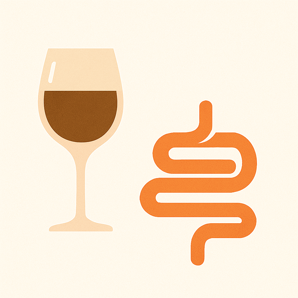 Alkohol und Darmgesundheit: Wo liegt die Grenze?