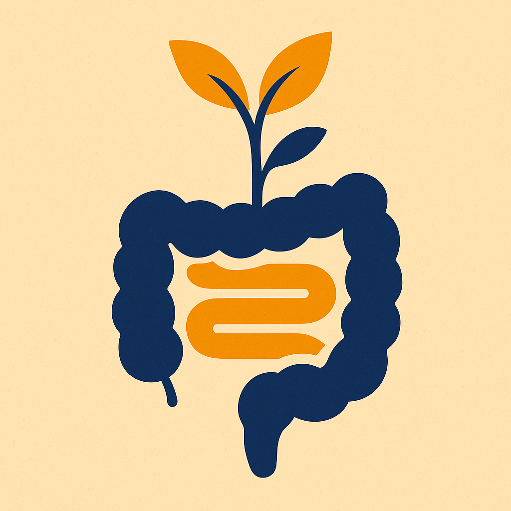 Darmflora aufbauen: So unterstützt du dein Mikrobiom nachhaltig