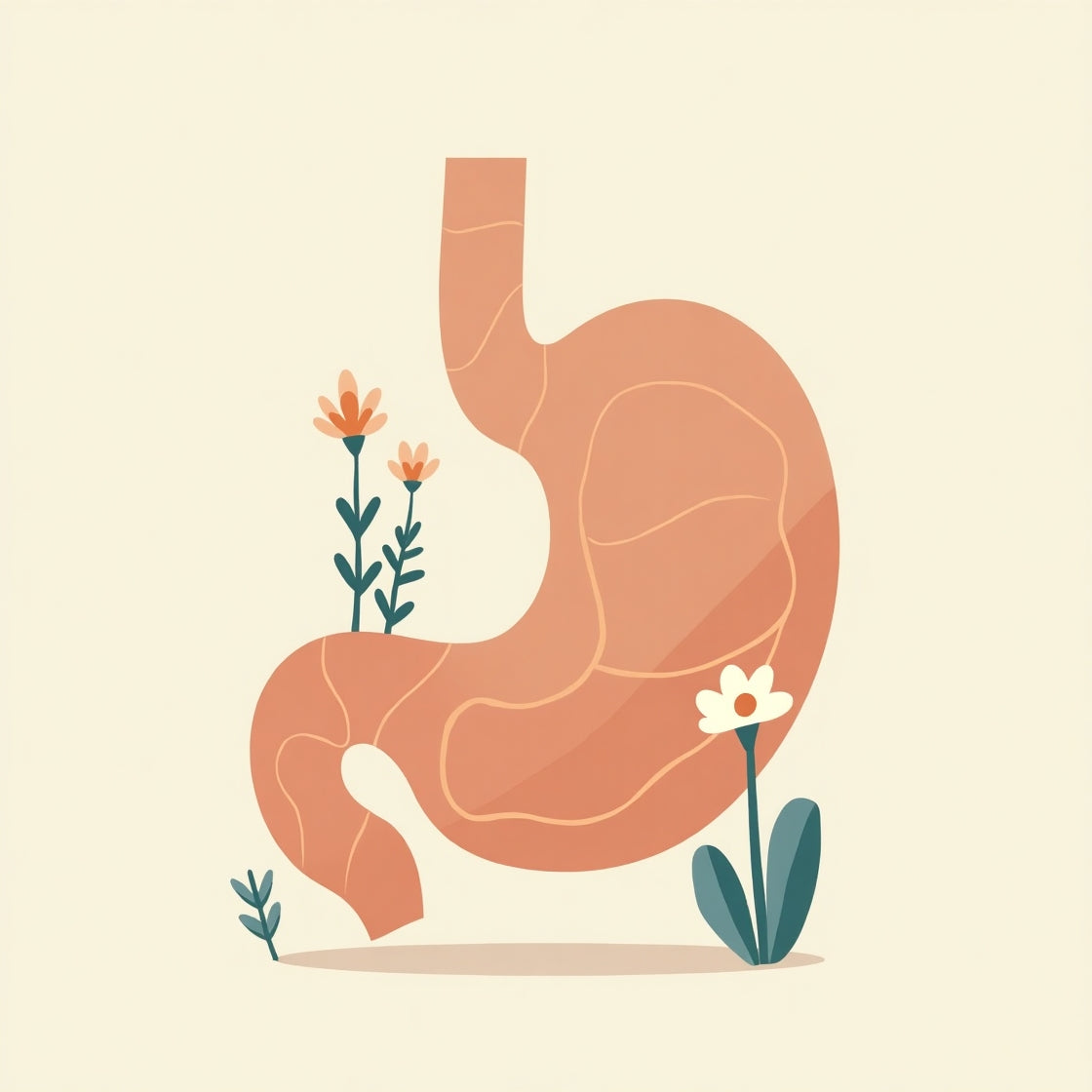 Gesunde Verdauung fördern: Tipps für jeden Tag