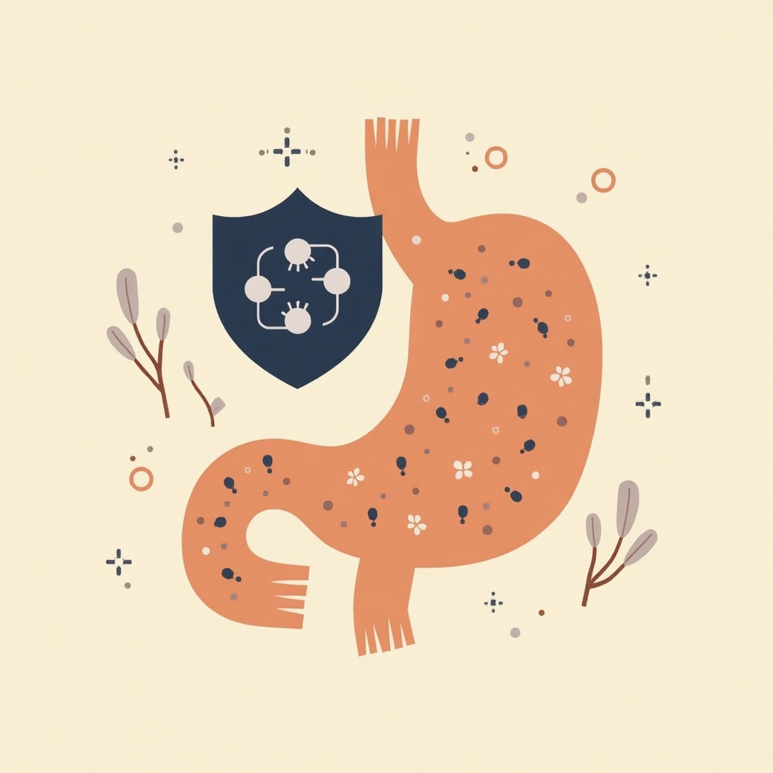 Antibiotika und Darmflora: Schutz und Wiederaufbau