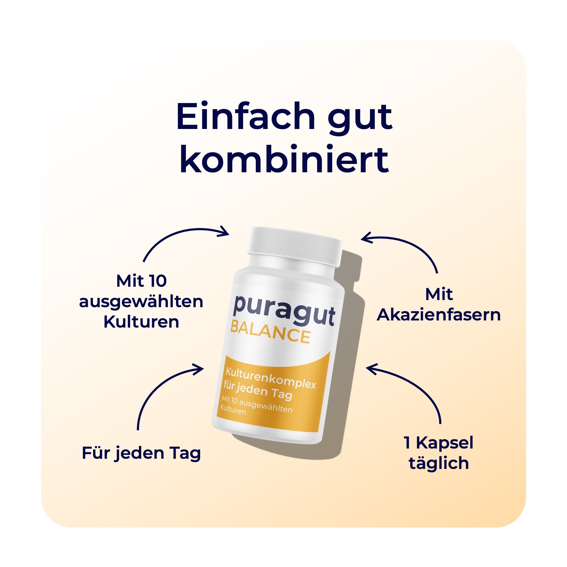 puragut BALANCE - Kulturenkomplex für jeden Tag - Mit 10 ausgewählten Kulturen - Bifidobakterien, Lactobacillus und Akazienfasern - 60 Kapseln