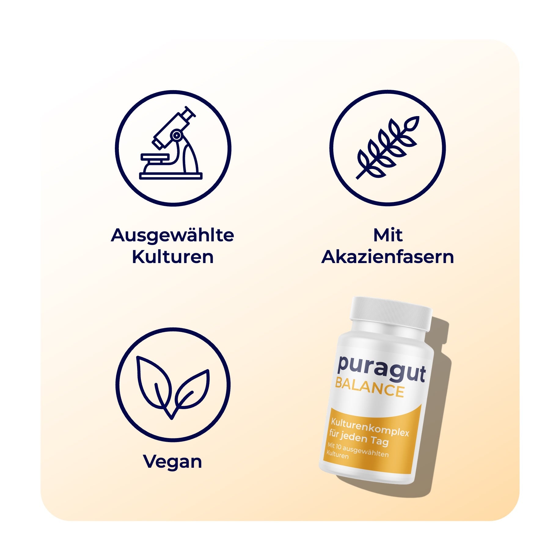 puragut BALANCE - Kulturenkomplex für jeden Tag - Mit 10 ausgewählten Kulturen - Bifidobakterien, Lactobacillus und Akazienfasern - 60 Kapseln