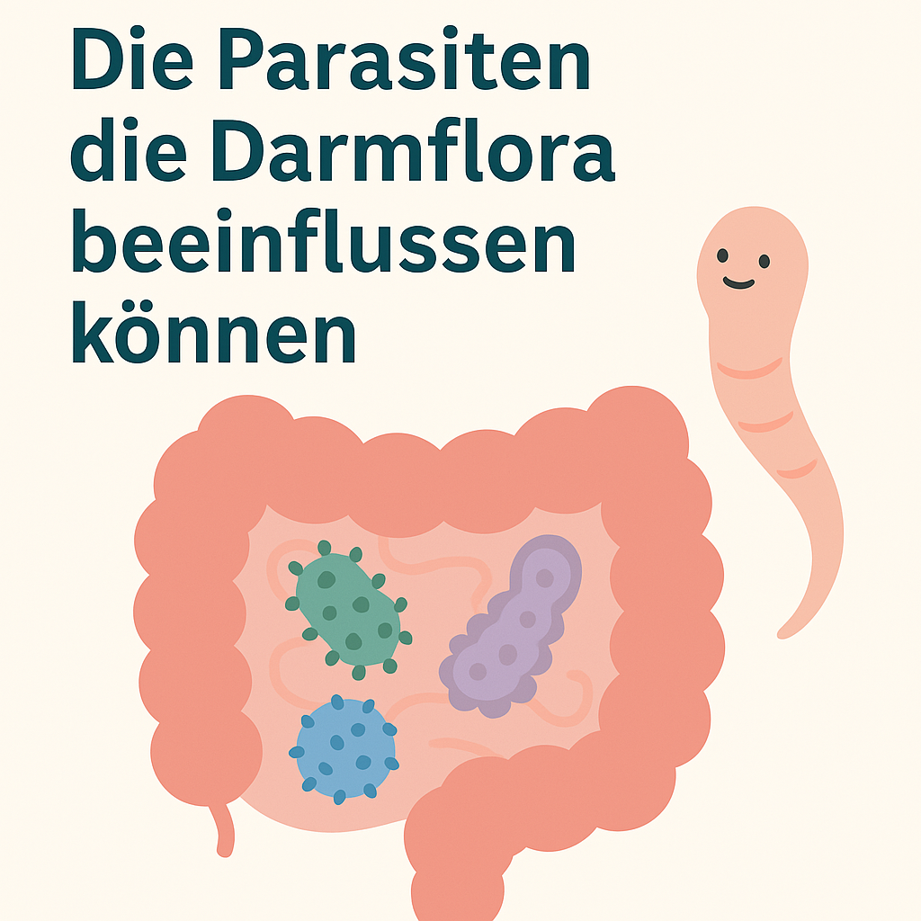 Wie Parasiten die Darmflora beeinflussen können