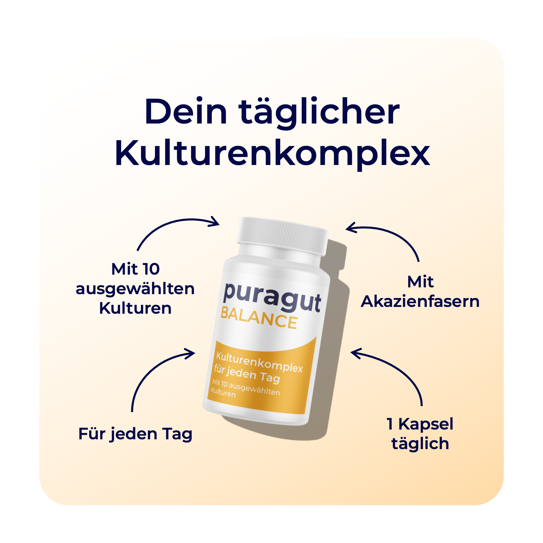 puragut BALANCE - Kulturenkomplex für jeden Tag - Mit 10 ausgewählten Kulturen - Bifidobakterien, Lactobacillus und Akazienfasern - 60 Kapseln